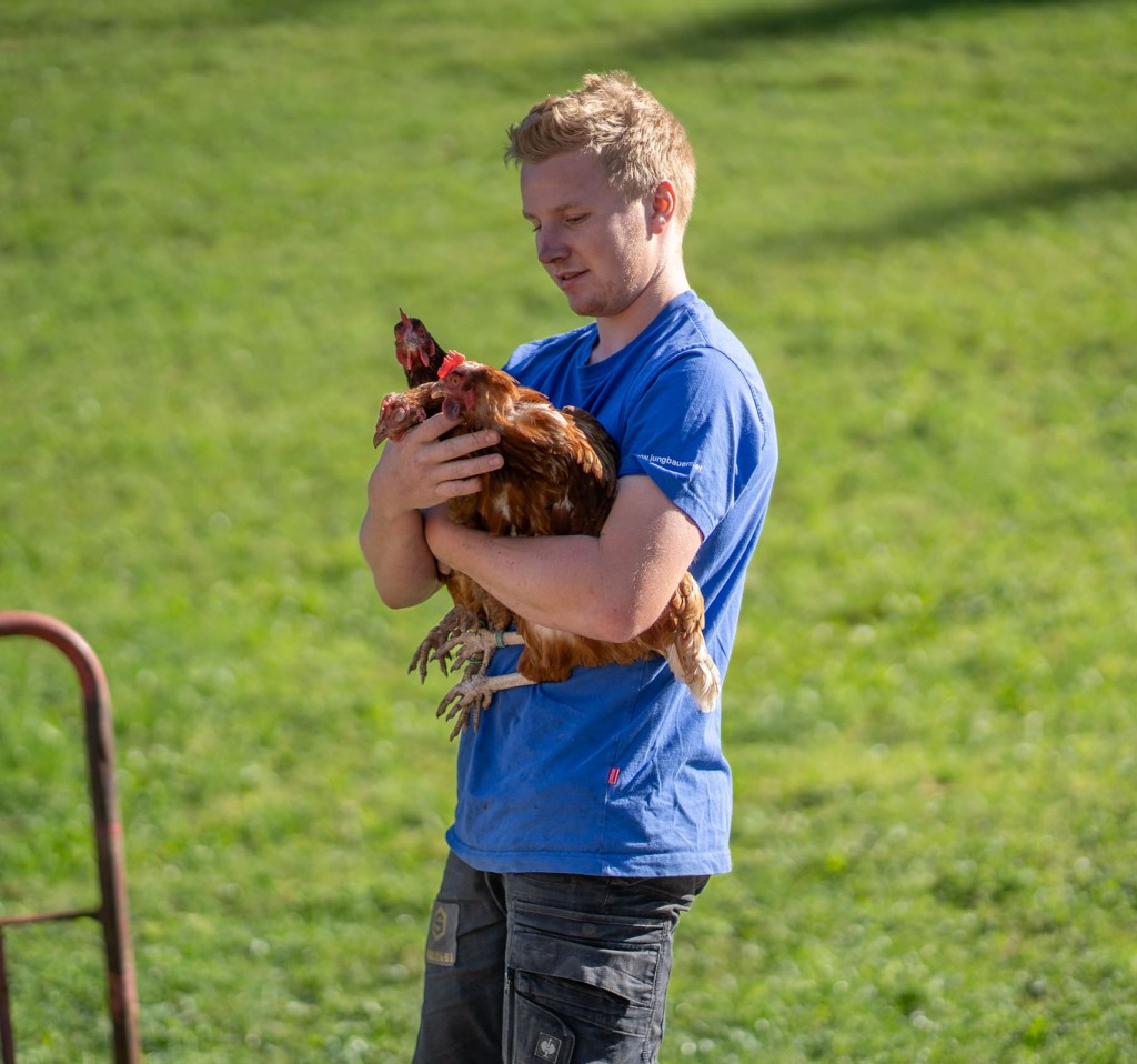 Hühner am Ferienbauernhof Ortnergut