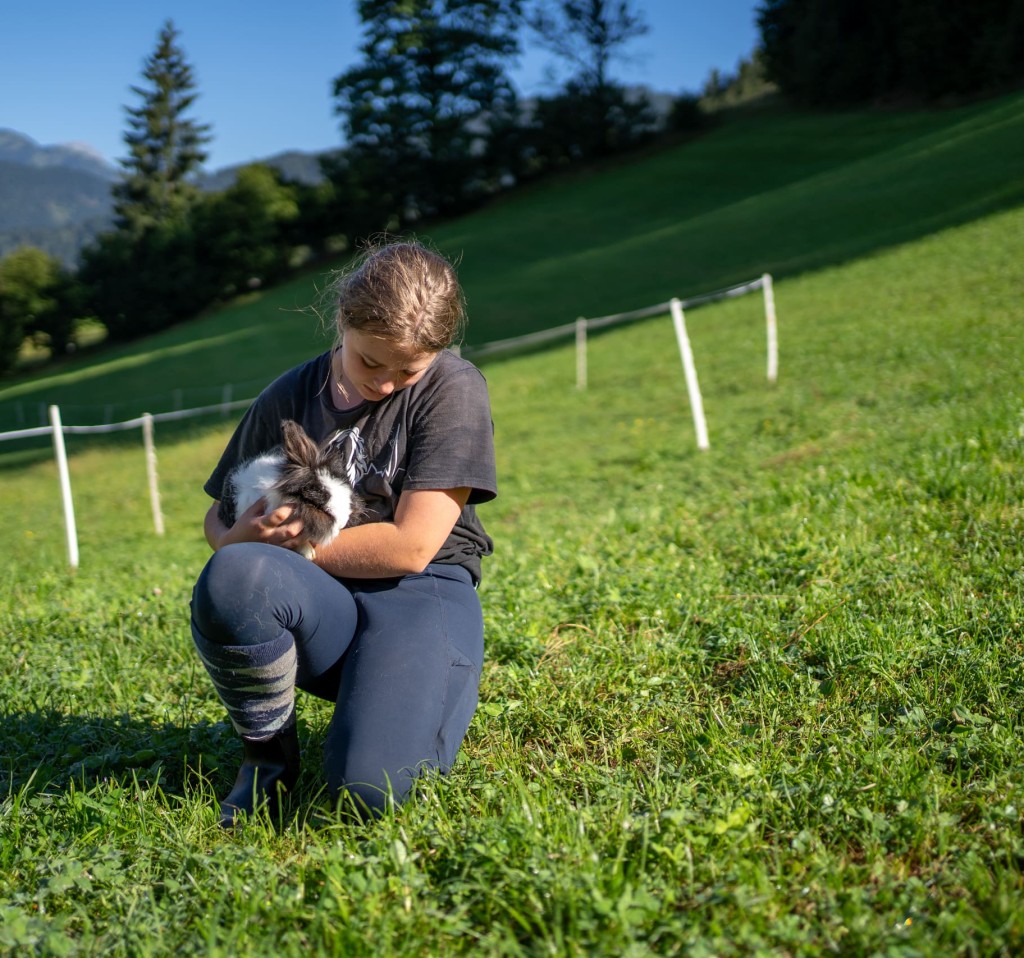 Flauschige Hasen zum Streicheln