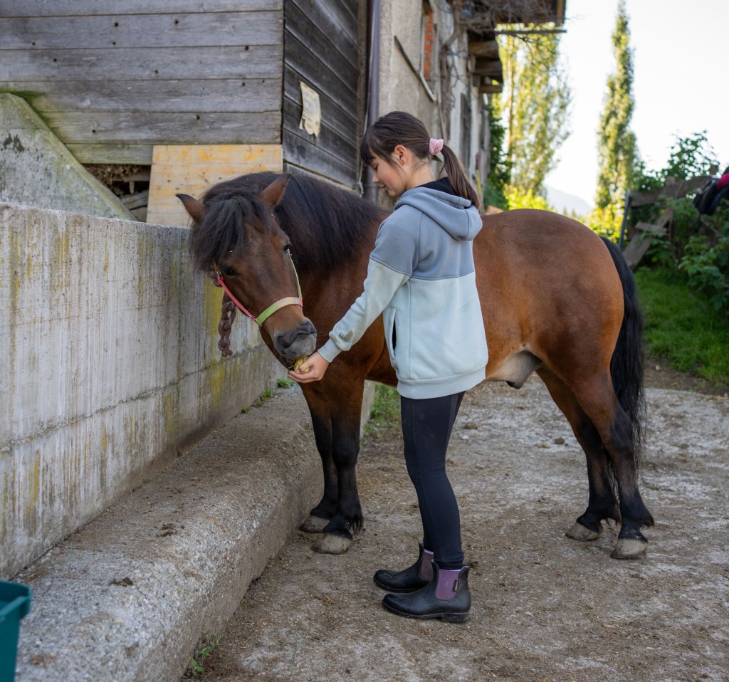 Pferd nascht nach dem Reiten