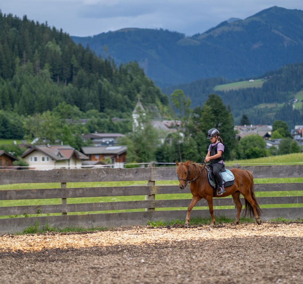 Reitplatz mit Unterrichtsmöglichkeit