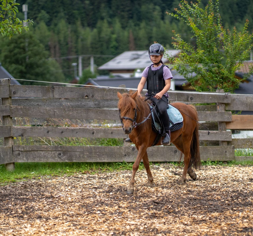 Reitstunden buchen im Ortnergut