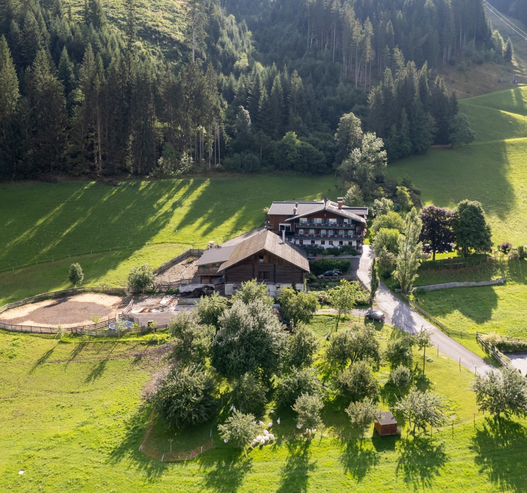 Luftaufnahme Ortnergut - direkt am Waldrand