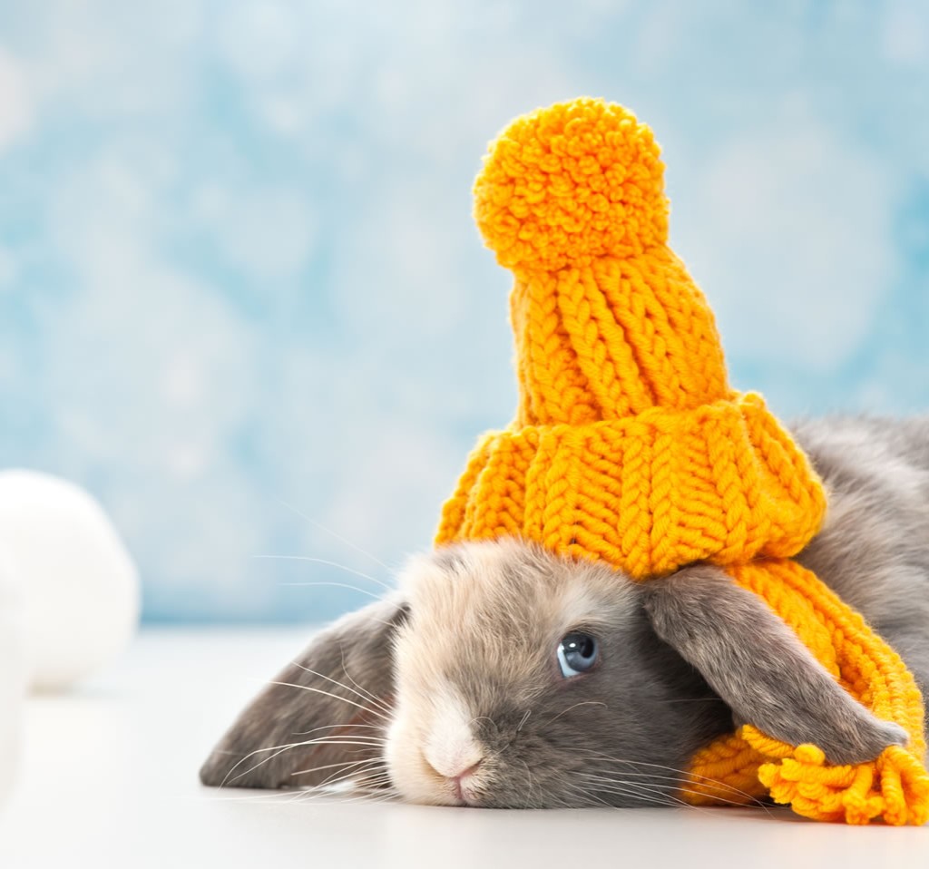 Osterpauschale © Shutterstock