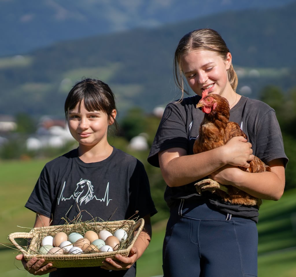 Täglich frische Eier von unseren Hühnern