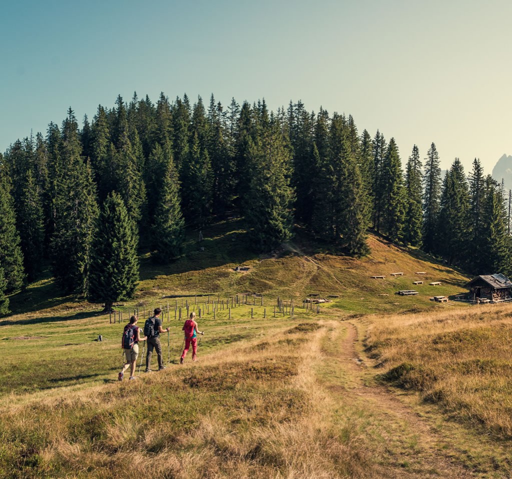 Geführte Wanderung zum Gerzkopf © TVB Eben_Sobietzki