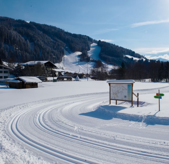 Langlaufen auf der Tauernloipe in Eben © TVB Eben_Lorenz Masser